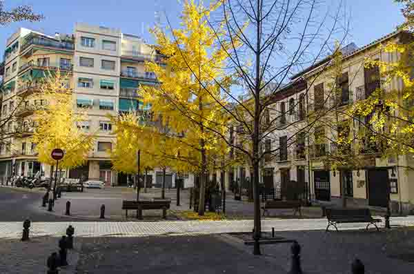Granada 164 - plaza Campillo Bajo.jpg
